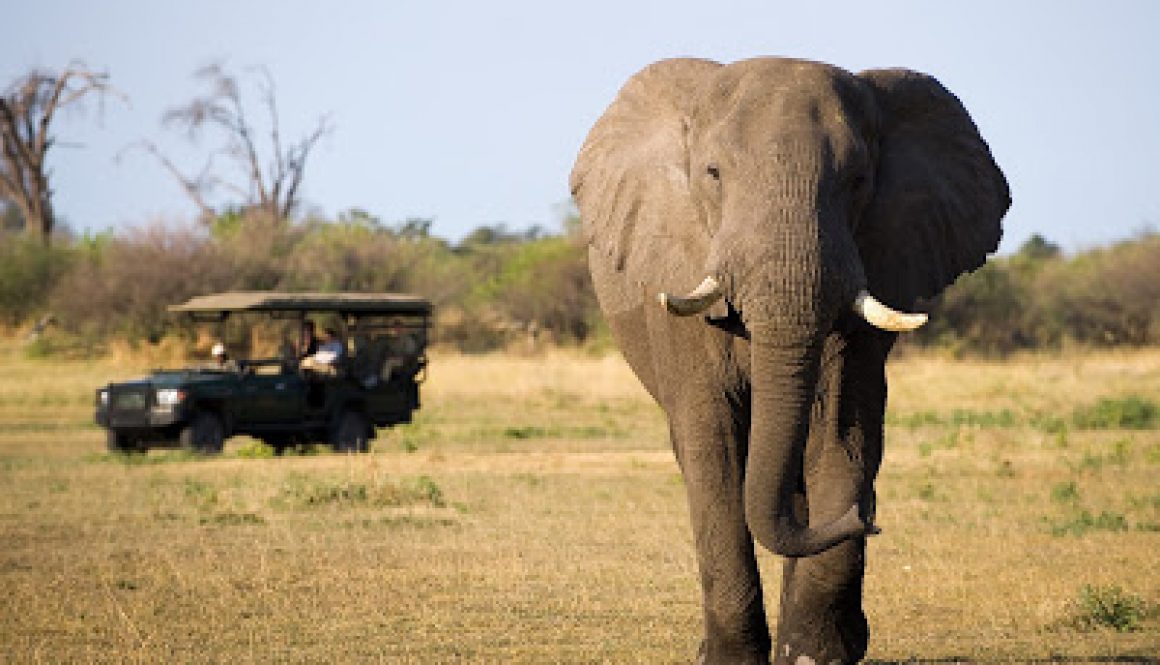 East-Africa-Tourism-1