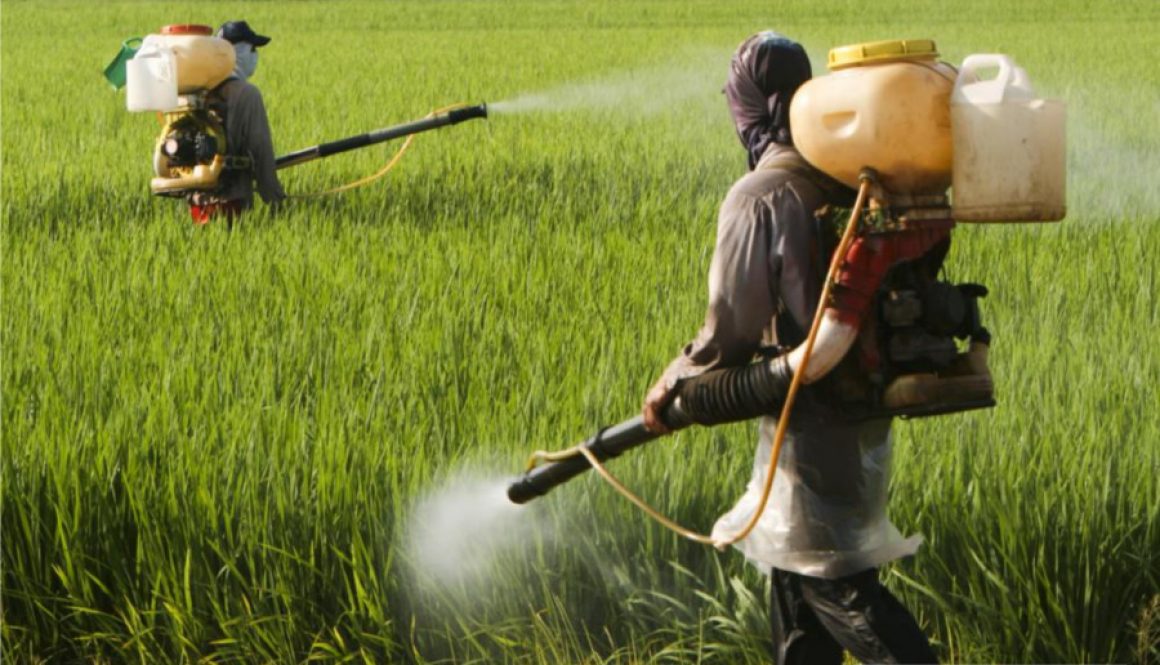 fertilisers-water-pollution-agriculture