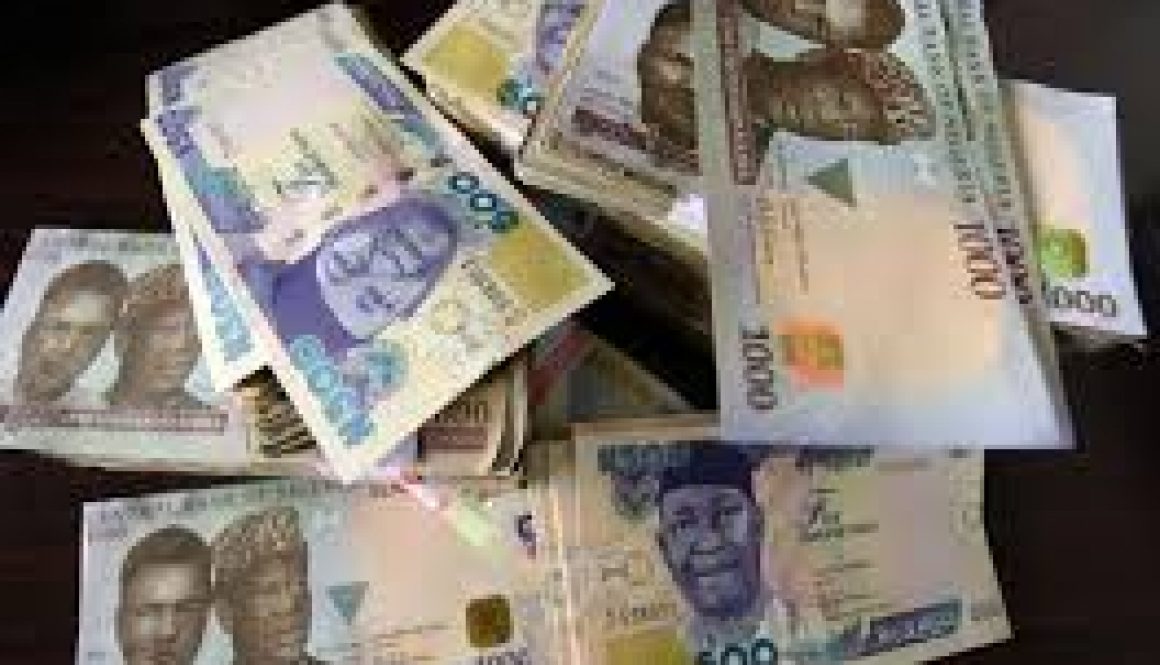 naira notes