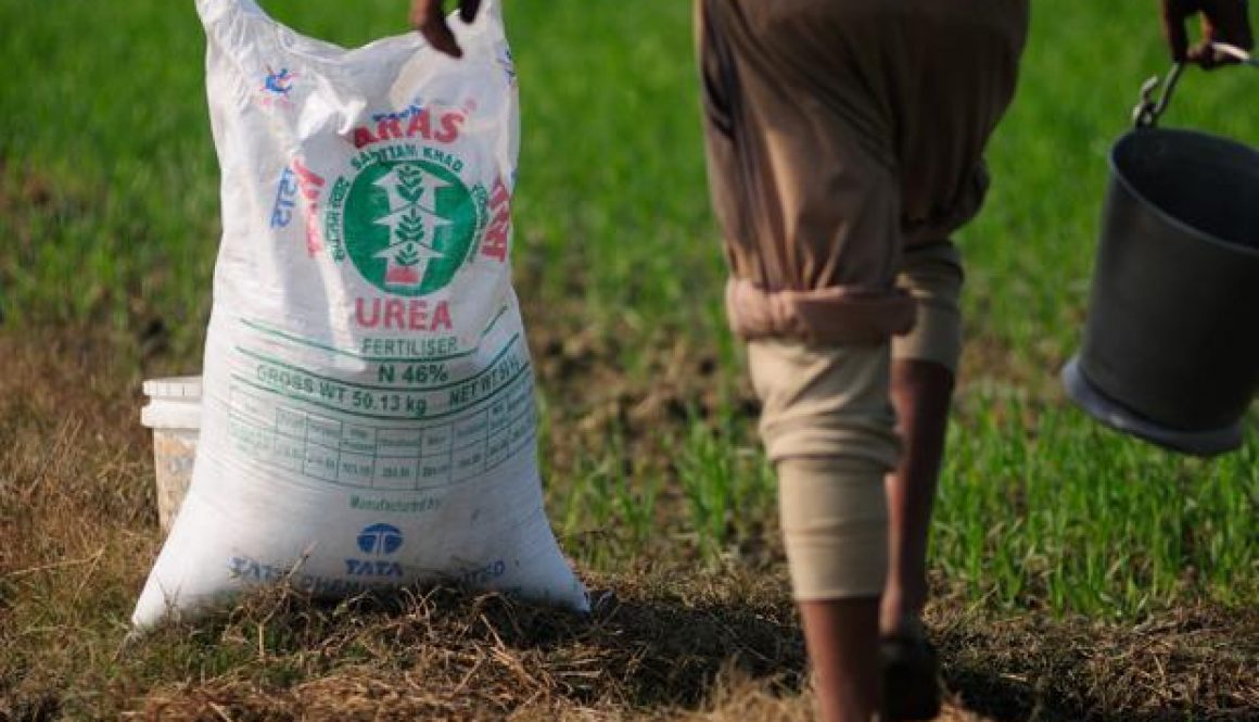 soil-specific-fertiliser