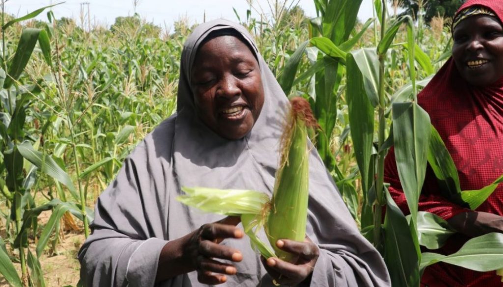 Women-in-farm-1140x640