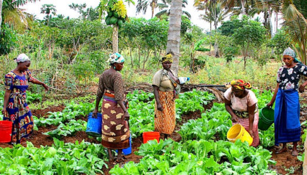 female-farmers-e1515428268631