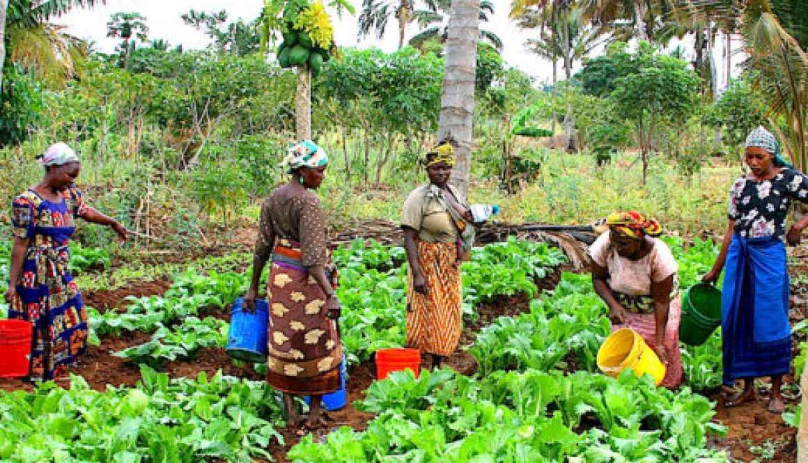 female-farmers-e1515428268631