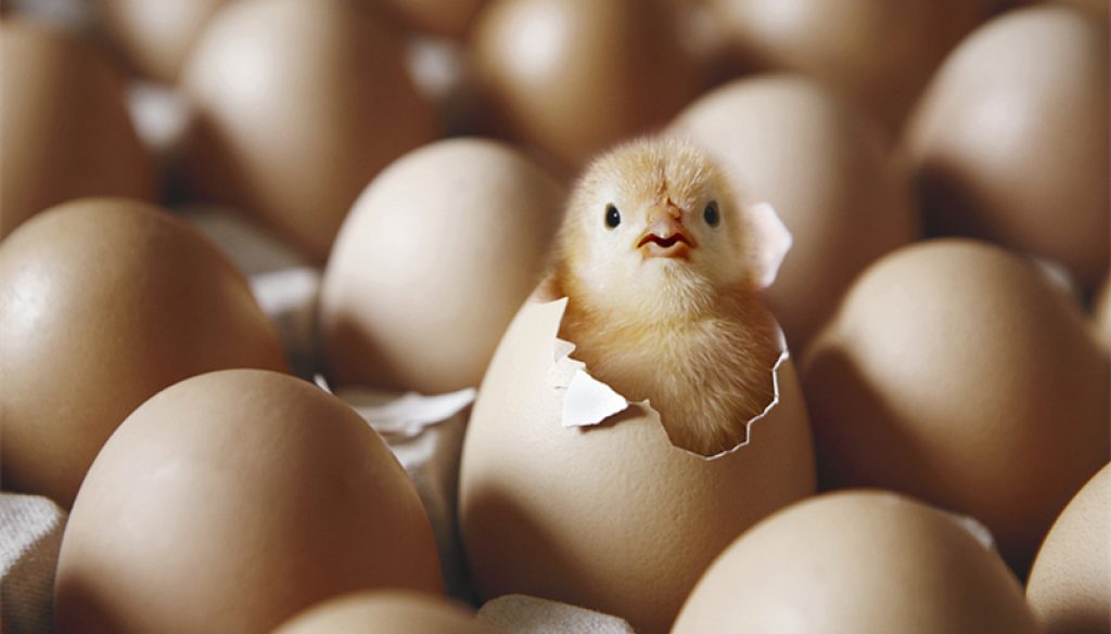 09bbce9a-5f22-4a5b-972e-75ef7013a0f2