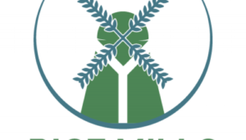 Logotipo-500-Blanco-06-300x300