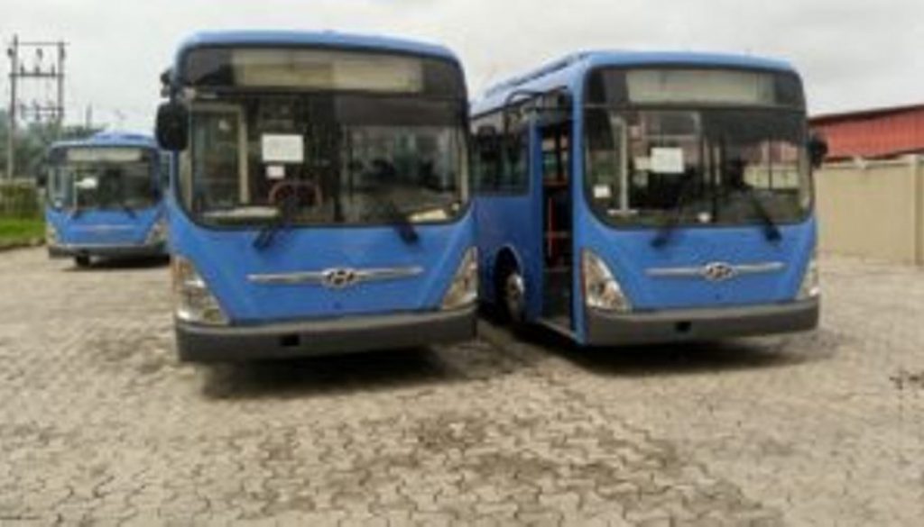 Buses