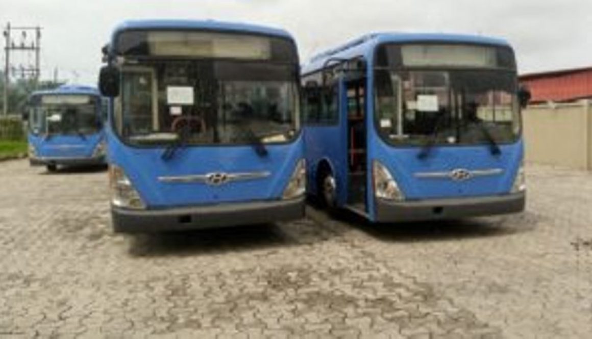 Buses