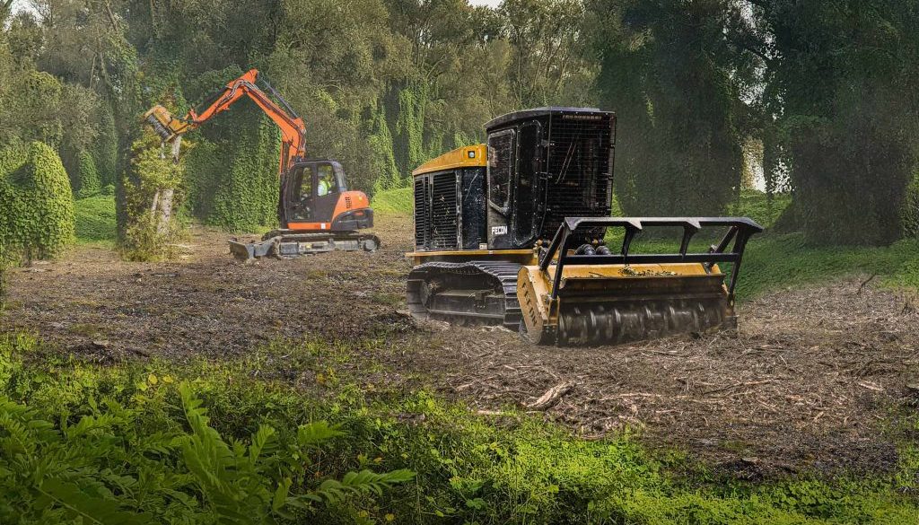 Fecon-Invasive-Species-Removal-v2-1-1-1