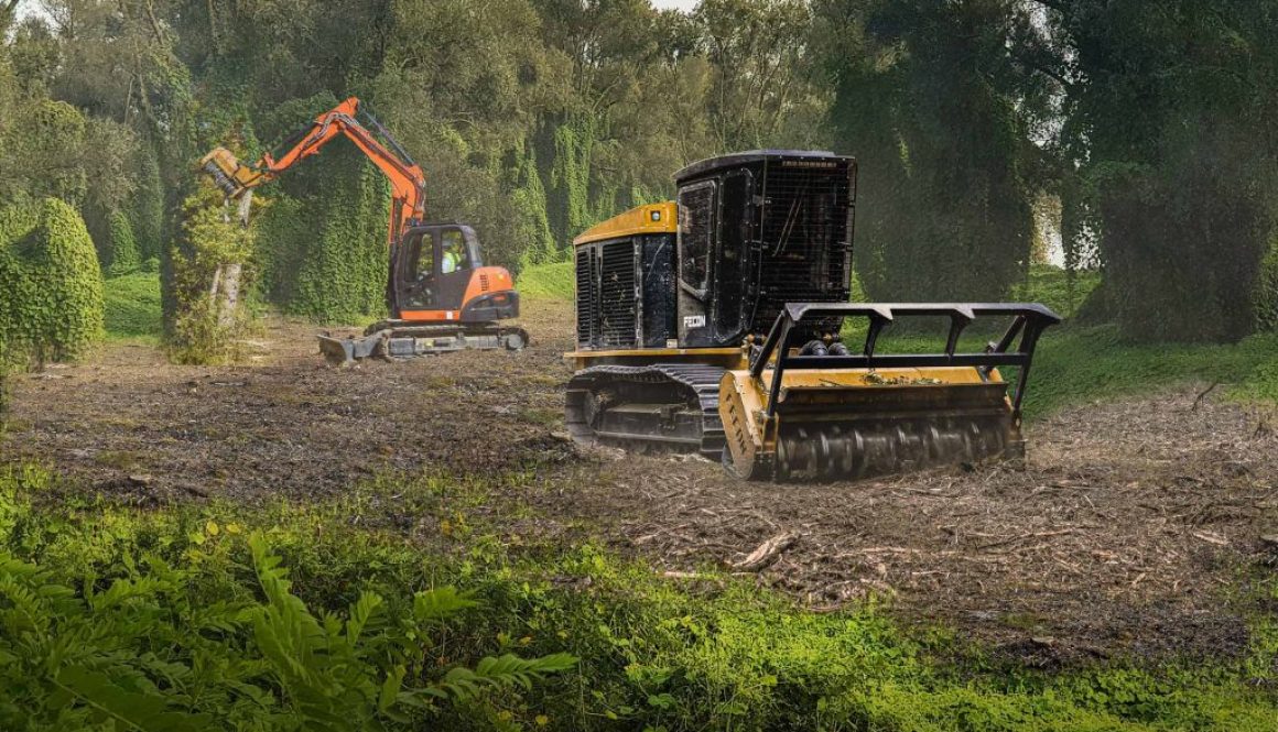 Fecon-Invasive-Species-Removal-v2-1-1-1