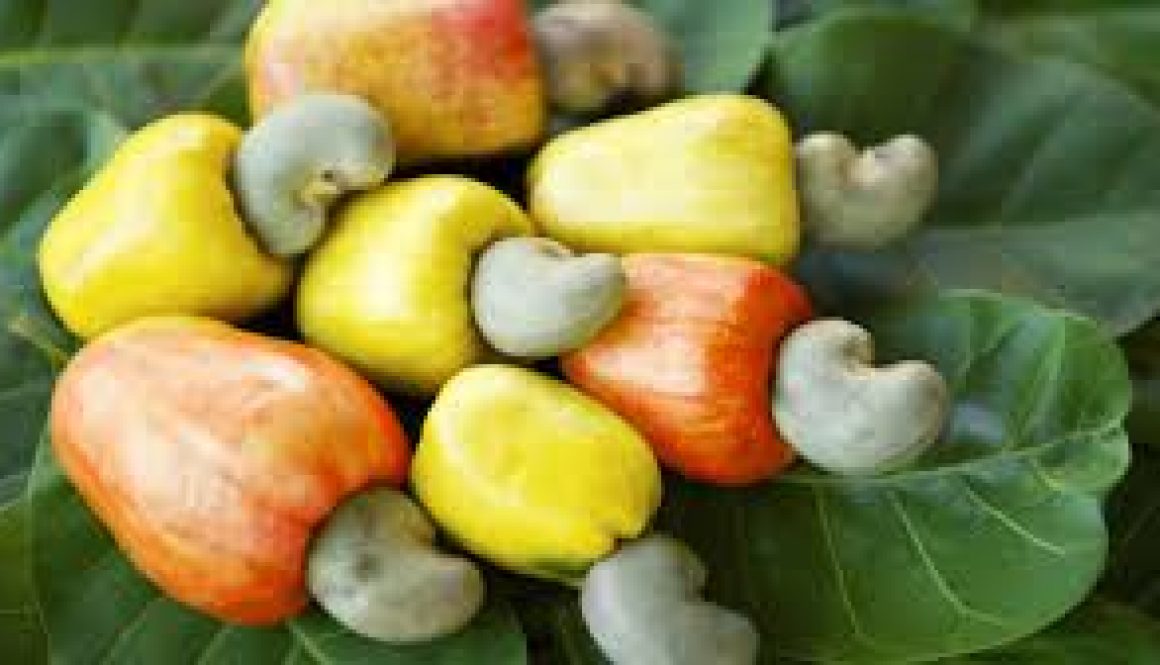 Cashew