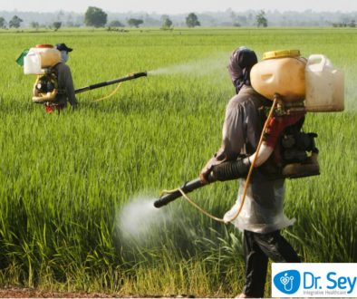 fertilisers-water-pollution-agriculture