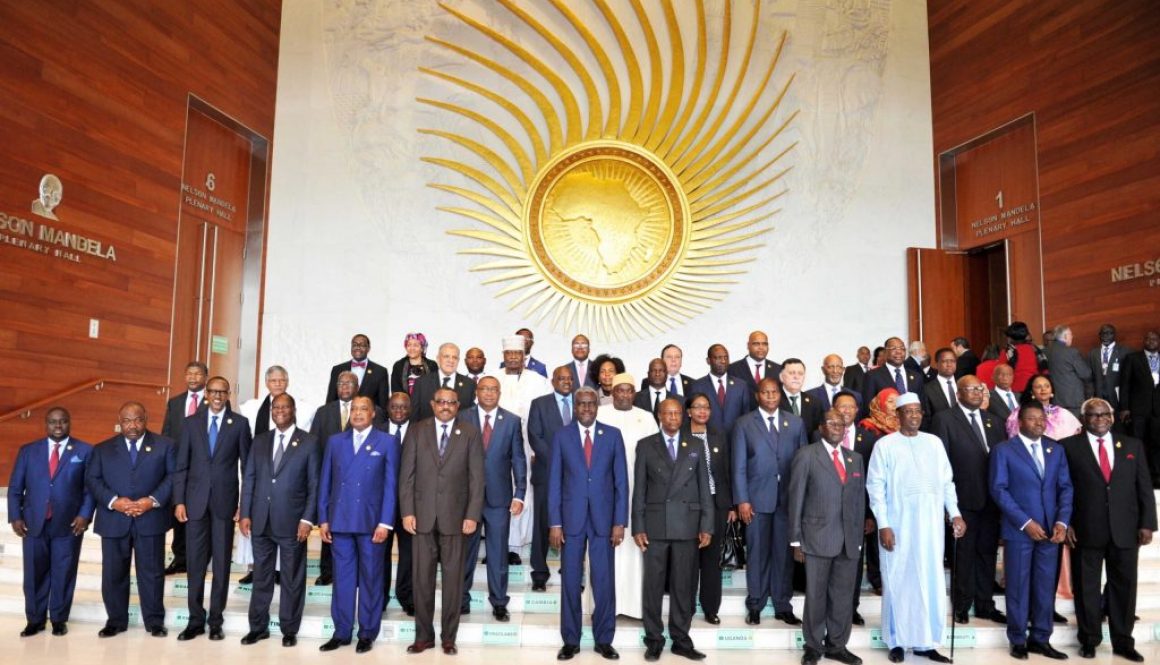 29th Ordinary Session of the Assembly of the AU.