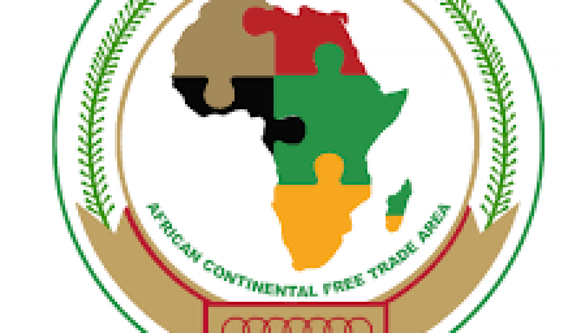 Plenary concerns with success of African free trade