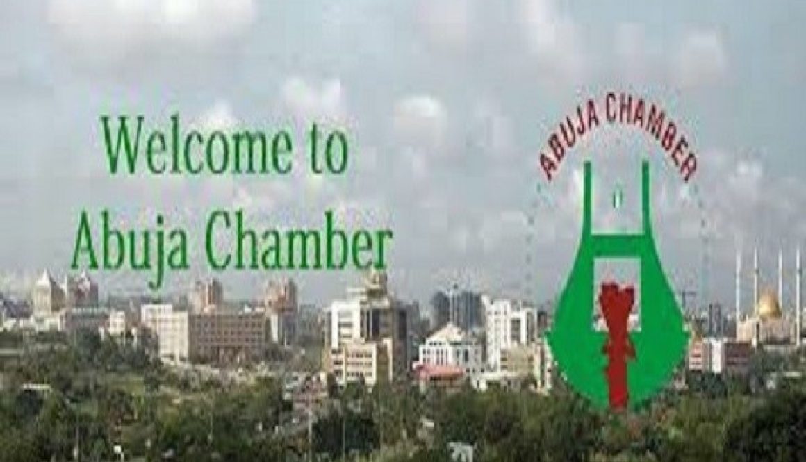 The Abuja Chamber of Commerce and Industry (ACCI)