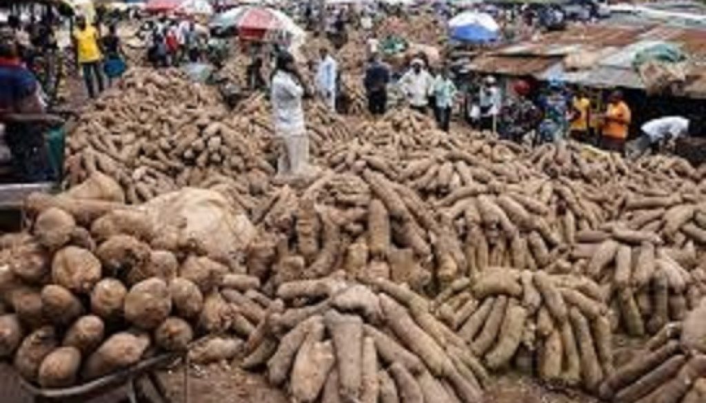 Nigeria targets boost in yam export