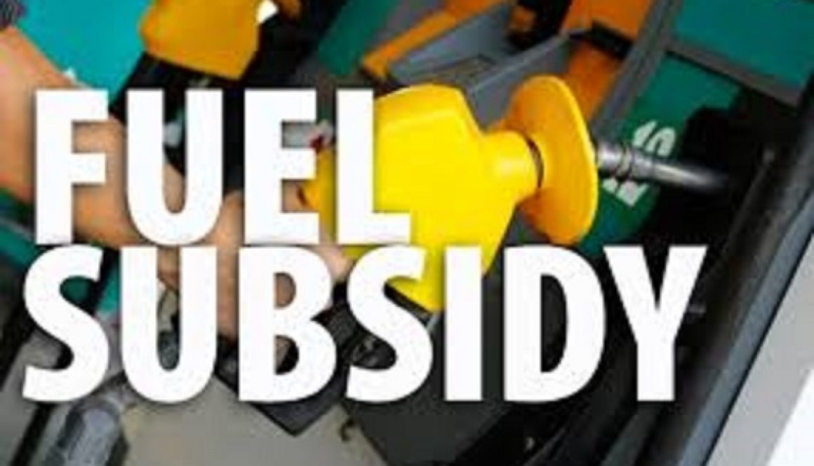 Nigeria has no plan to remove fuel subsidy