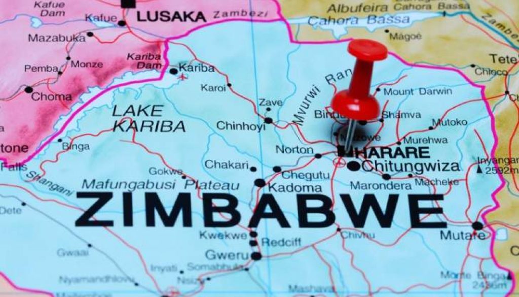 zimbabwe_zimbabwe_pin