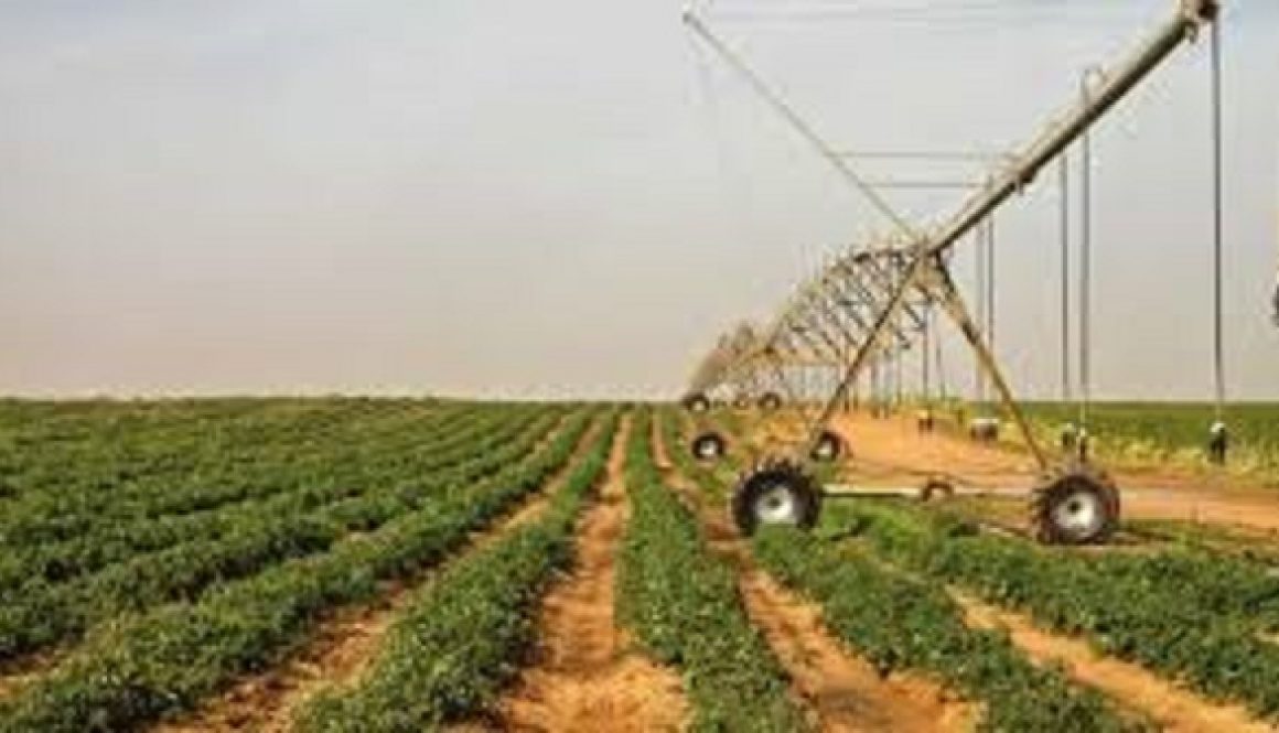 Agriculture pivot for economic growth