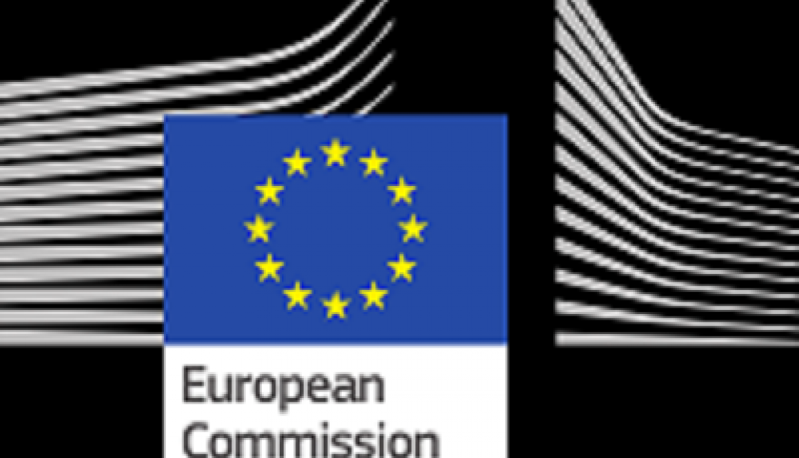 EU Commission invests 40m euros in energy in Africa