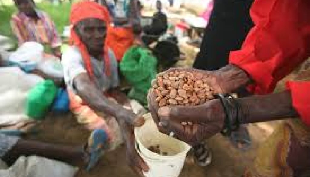 Zimbabwe’s half population faces hunger