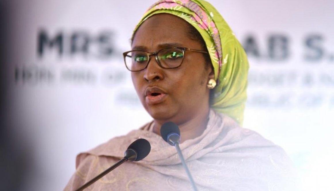 Minister-of-Finance-Budget-and-National-Planning-Zainab-Ahmed..