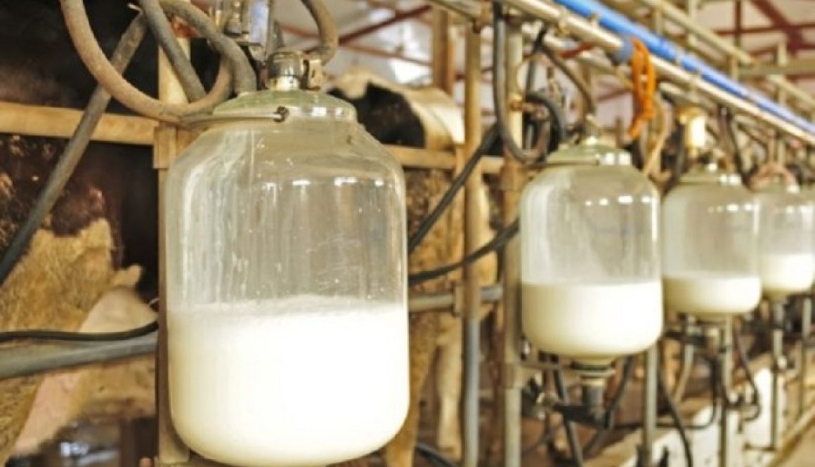 milk-importation