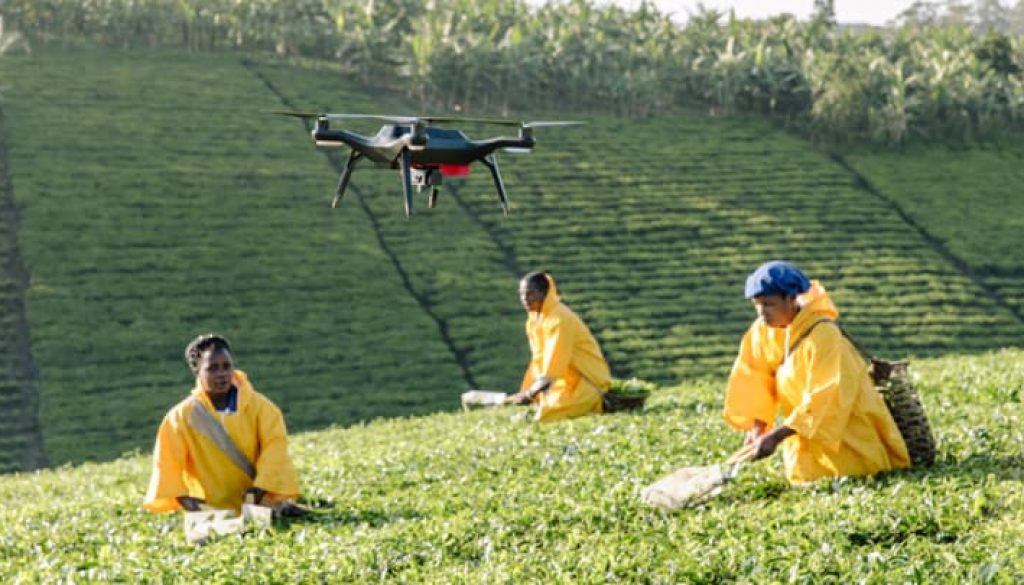 Drones_Agriculture