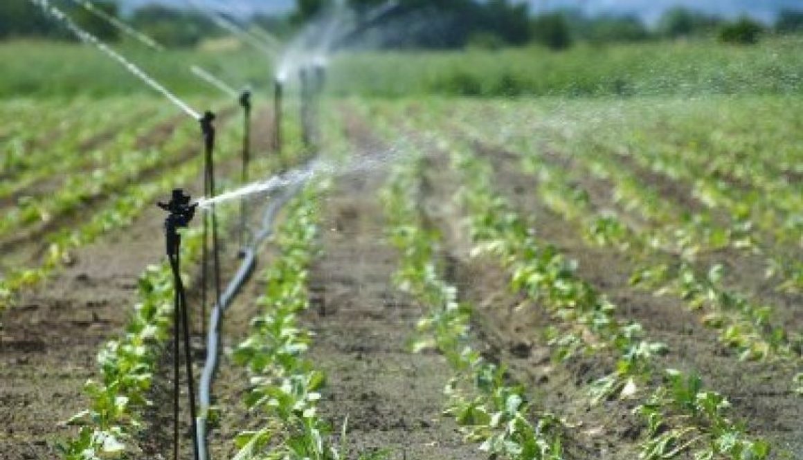 Irrigation-farming-2_750x499