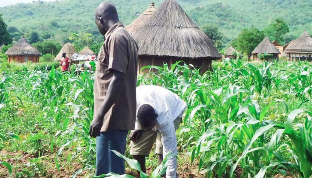 gerian-farmers-are-now-embracing-agricultural-biotechnology.-727x430