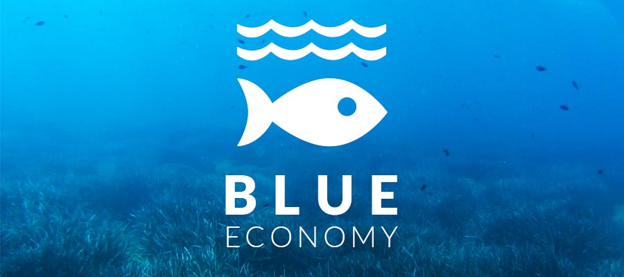 blue-economy-united-nations-sustainable-development-goals