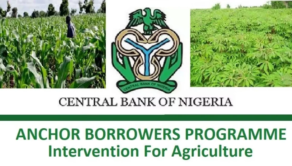 CBN-Anchor-Borrowers-Programme-ABP-For-Agriculture